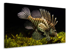 Laden Sie das Bild in den Galerie-Viewer, Leinwandbild Lion Fisch