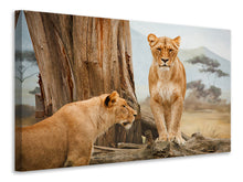 Laden Sie das Bild in den Galerie-Viewer, Leinwandbild Löwen in Afrika
