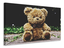 Laden Sie das Bild in den Galerie-Viewer, Leinwandbild Love Teddy