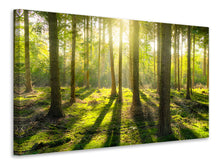 Laden Sie das Bild in den Galerie-Viewer, Leinwandbild Mitten im Wald