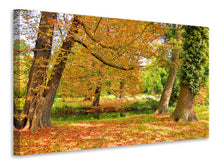 Laden Sie das Bild in den Galerie-Viewer, Leinwandbild Mitten unter Herbstbäumen