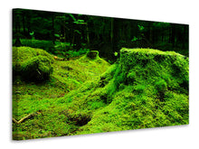 Laden Sie das Bild in den Galerie-Viewer, Leinwandbild Moos im Wald