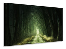 Laden Sie das Bild in den Galerie-Viewer, Leinwandbild Mysteriöser Wald