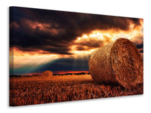 Laden Sie das Bild in den Galerie-Viewer, Leinwandbild Mystische Landschaft