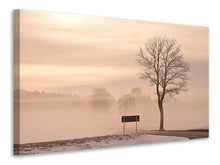 Laden Sie das Bild in den Galerie-Viewer, Leinwandbild Mystische Stimmung in der Natur