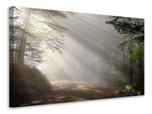 Laden Sie das Bild in den Galerie-Viewer, Leinwandbild Mystisches Licht im Wald