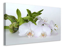 Laden Sie das Bild in den Galerie-Viewer, Leinwandbild Orchidee und Bambus