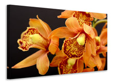 Laden Sie das Bild in den Galerie-Viewer, Leinwandbild Orchideen mit orangen Blüten