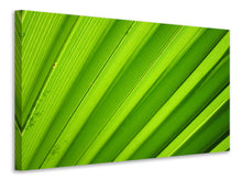 Laden Sie das Bild in den Galerie-Viewer, Leinwandbild Palm Streifen 2
