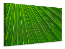 Laden Sie das Bild in den Galerie-Viewer, Leinwandbild Palm Streifen 1