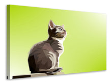 Laden Sie das Bild in den Galerie-Viewer, Leinwandbild Pop Art Katze XL