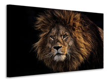 Laden Sie das Bild in den Galerie-Viewer, Leinwandbild Portrait eines Löwen 