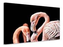 Laden Sie das Bild in den Galerie-Viewer, Leinwandbild Prächtige Flamingos