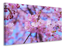 Laden Sie das Bild in den Galerie-Viewer, Leinwandbild Prächtige Kirschblüte