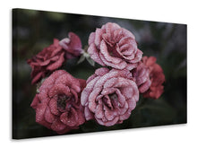 Laden Sie das Bild in den Galerie-Viewer, Leinwandbild Romantische Rosen