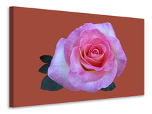 Laden Sie das Bild in den Galerie-Viewer, Leinwandbild Rose in pink XXL