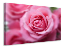 Laden Sie das Bild in den Galerie-Viewer, Leinwandbild Rosen Makro