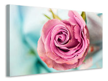 Laden Sie das Bild in den Galerie-Viewer, Leinwandbild Rosenblüte in rosa