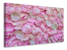 Laden Sie das Bild in den Galerie-Viewer, Leinwandbild Rosenblüten in rosa