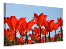Laden Sie das Bild in den Galerie-Viewer, Leinwandbild Rote Tulpen XL