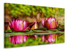 Laden Sie das Bild in den Galerie-Viewer, Leinwandbild Rotes Seerosen Trio
