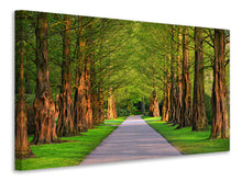 Laden Sie das Bild in den Galerie-Viewer, Leinwandbild Schöne Allee in der Natur