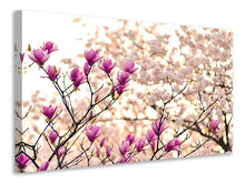 Laden Sie das Bild in den Galerie-Viewer, Leinwandbild Schöne Magnolien XL