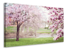 Laden Sie das Bild in den Galerie-Viewer, Leinwandbild Schöne Magnolien