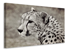 Laden Sie das Bild in den Galerie-Viewer, Leinwandbild Schöner Gepard