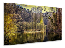 Laden Sie das Bild in den Galerie-Viewer, Leinwandbild See im Wald