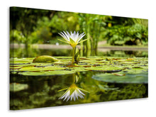 Laden Sie das Bild in den Galerie-Viewer, Leinwandbild Seerose in der Natur