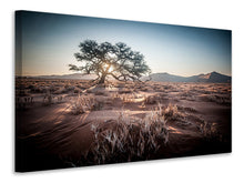 Laden Sie das Bild in den Galerie-Viewer, Leinwandbild Sehnsucht Afrika