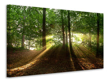 Laden Sie das Bild in den Galerie-Viewer, Leinwandbild Sonne im Wald