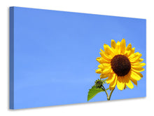 Laden Sie das Bild in den Galerie-Viewer, Leinwandbild Sonnenblume mit blauem Himmel