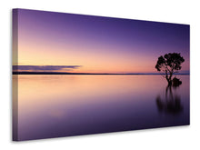 Laden Sie das Bild in den Galerie-Viewer, Leinwandbild Sonnenuntergang am Baum im Wasser