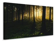 Laden Sie das Bild in den Galerie-Viewer, Leinwandbild Sonnenuntergang im Wald