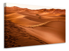 Laden Sie das Bild in den Galerie-Viewer, Leinwandbild Spuren in der Wüste