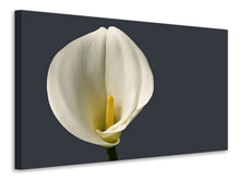 Laden Sie das Bild in den Galerie-Viewer, Leinwandbild Stolze Calla