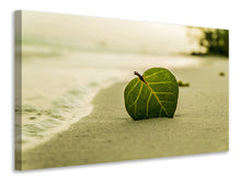 Laden Sie das Bild in den Galerie-Viewer, Leinwandbild Strand-Blatt