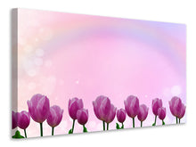 Laden Sie das Bild in den Galerie-Viewer, Leinwandbild Süsse Tulpen