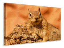 Laden Sie das Bild in den Galerie-Viewer, Leinwandbild Süsses Eichhörnchen