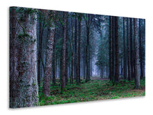 Laden Sie das Bild in den Galerie-Viewer, Leinwandbild Tannen Wald
