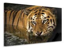 Laden Sie das Bild in den Galerie-Viewer, Leinwandbild Tiger im Wasser