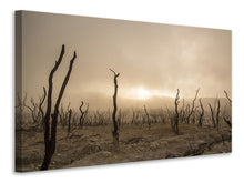 Laden Sie das Bild in den Galerie-Viewer, Leinwandbild Totes Land