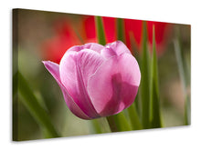 Laden Sie das Bild in den Galerie-Viewer, Leinwandbild Tulpe pretty in pink