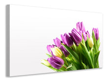 Laden Sie das Bild in den Galerie-Viewer, Leinwandbild Tulpen in XL