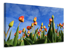 Laden Sie das Bild in den Galerie-Viewer, Leinwandbild Tulpen ragen zum Himmel