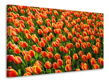 Laden Sie das Bild in den Galerie-Viewer, Leinwandbild Tulpenfeld in orange