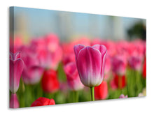 Laden Sie das Bild in den Galerie-Viewer, Leinwandbild Tulpenfeld in rosa-rot
