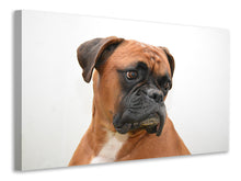Laden Sie das Bild in den Galerie-Viewer, Leinwandbild Typisch Boxer